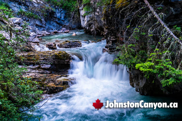 Banff to Lake Louise and Moraine Lake